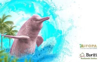 imagem do blog