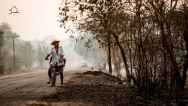 Queimadas na estiagem: saiba como prevenir e denunciar irregularidades