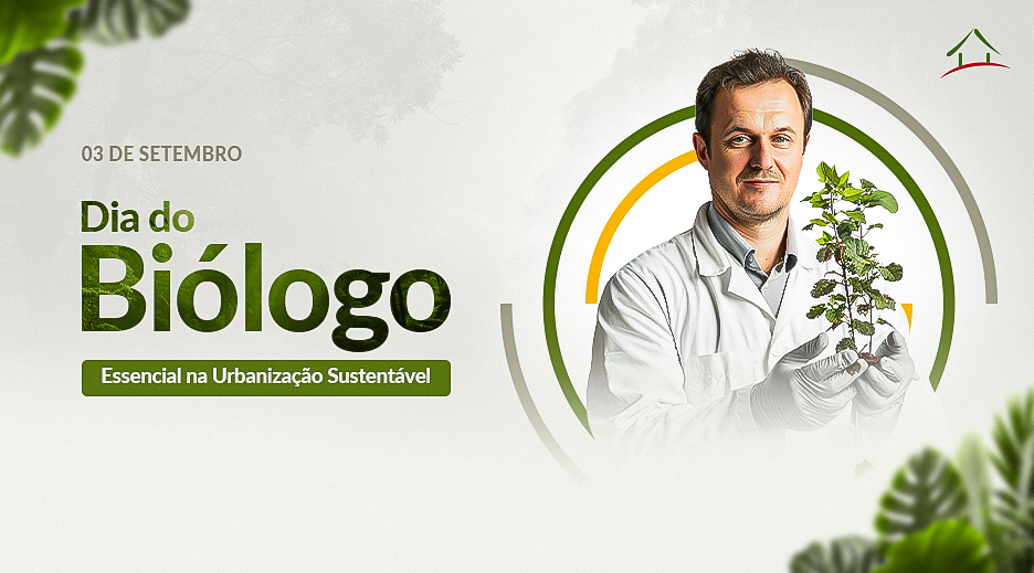 imagem do blog